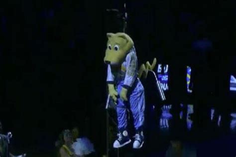 Denver Nuggets mascot drops out